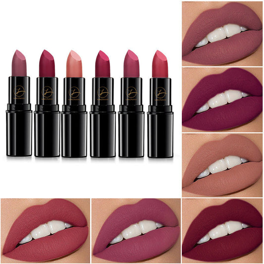 Stylo Rouge à Lèvres Ciel Étoilé Mat Hydratant et Longue Tenue